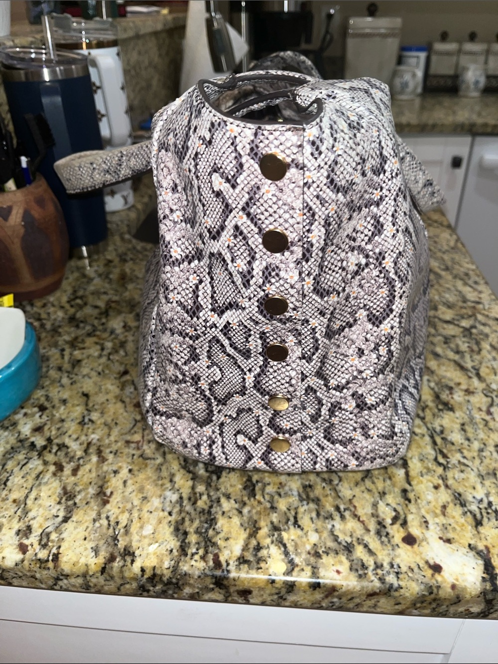 EUC Authentic Hammitt Ferris Hobo in Daisy Snake Print Embossed Leather Handbag. - Picture 3 of 10